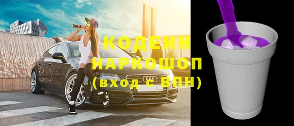 крисы Горняк