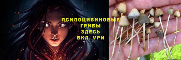 твердый Горно-Алтайск