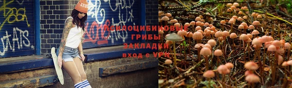 крисы Горняк