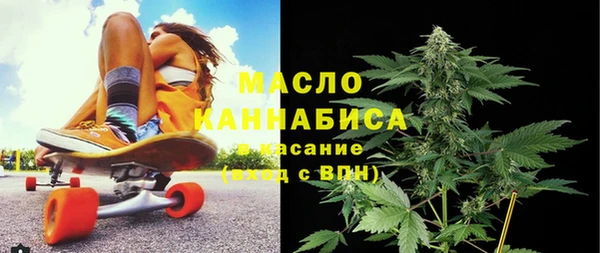 гидра Гусиноозёрск