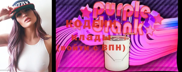 крисы Горняк