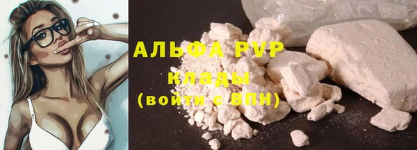 крисы Горняк