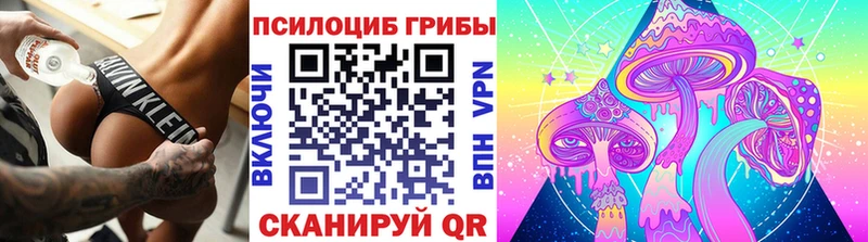 Псилоцибиновые грибы GOLDEN TEACHER  наркотики  Петров Вал 